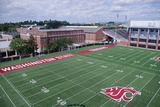 米兰真人-篮球专项体能训练监测技术及应用实践，篮球项目的体能训练方法